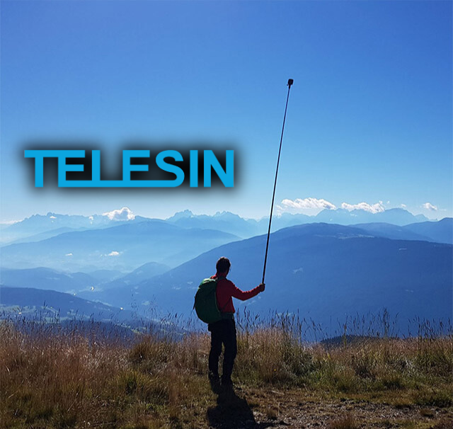 TELESIN