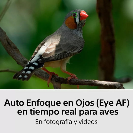 Cámara Profesional Sony Full Frame a7 IV Mirrorless ILCE7M4