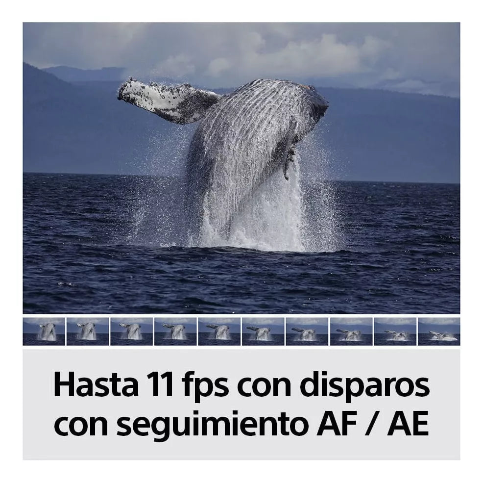 Cámara Sony Alpha a6100 Mirrorless Con Lente Zoom De 16-50mm