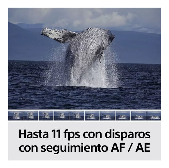 Cámara Sony Alpha a6100 Mirrorless Con Lente Zoom De 16-50mm